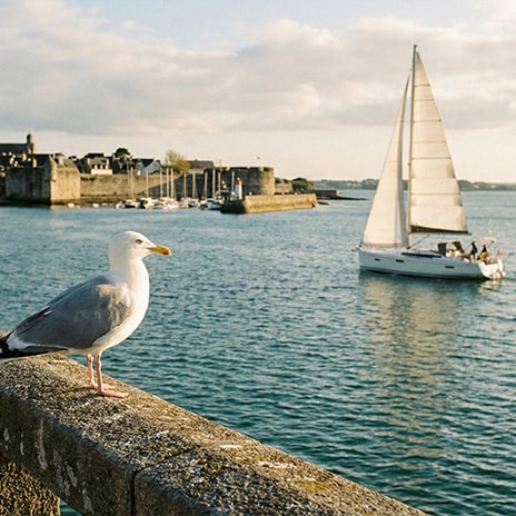 464x464 Galerie image Lescapade 02