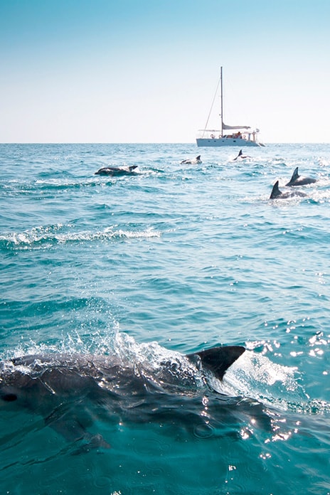 464x696 Galerie image 100 filles niv 4 05