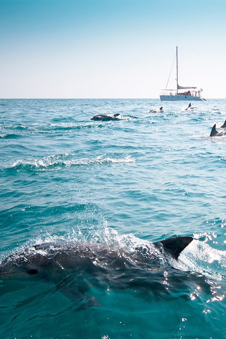 464x696 Galerie image Lescapade 03