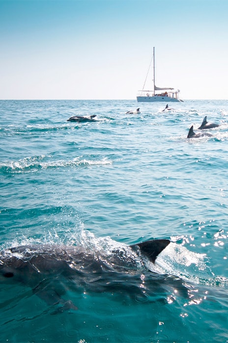 464x696 Galerie image ile dYeu 07